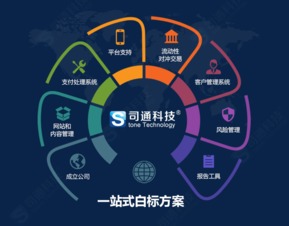 MT4平臺提供商、購買成本及網站建設維護全解析